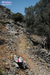 Obok przechodzi pieszy szlak&nbsp;E4