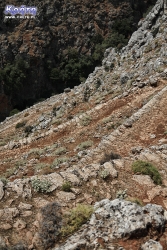 ...ten sam szlak widziany z&nbsp;bliska