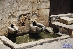 W kolejcę po cudowną wodę stali głównie Rosjanie