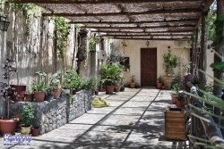 Jak większość greckich klasztorów Preveli jest pełne zieleni