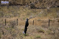 W wielu miejscach wciąż widać ślady pożaru z 2010 roku