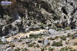 Dno wąwozu Kourtaliotiko