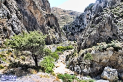 Północny wyjazd z wąwozu