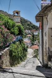 Na terenie klasztoru jest dużo zieleni