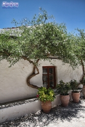 Na terenie klasztoru jest dużo zieleni