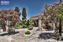 ...urzekł nas swoim wyglądem