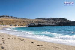 Rzut oka na Skinarię