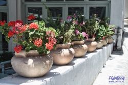 Jak wszędzie w Grecji, kwiaty to obowiązkowa ozdoba domów