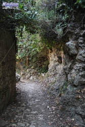 Klimat w Mili jest niesamowity